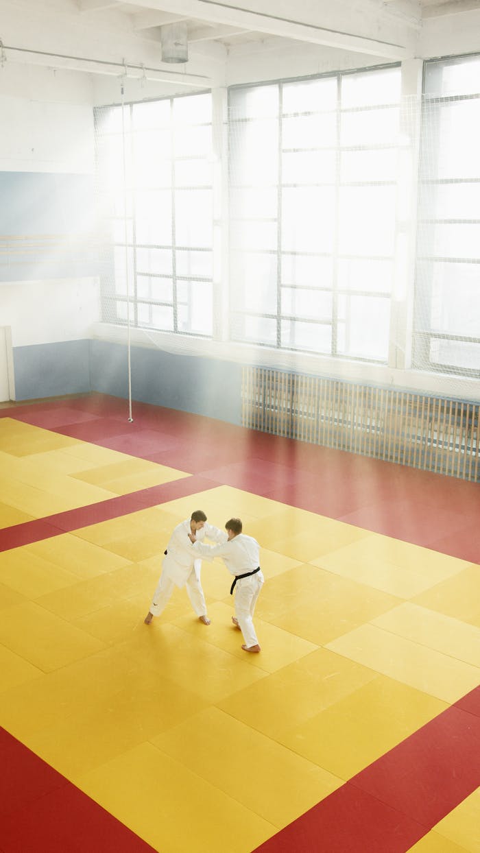 Two martial artists practice grappling on a sunlit mat in an indoor dojo.